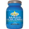 VITA AL TOP MASS BUILDING Cacao 1,8Kg