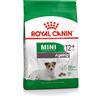 ROYAL CANIN ITALIA SHN MINI AGEING 12+ 1,5KG