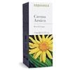 ERBAMEA Crema Arnica 75ml Erbamea
