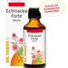 NATURWAREN ITALIA Theiss Echinacea Forte Gocce 50 Ml