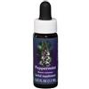 Natur Essenza Singola - Peppermint 30ml