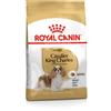 ROYAL CANIN ITALIA BHN CAVALIER KING CHAR AD3KG