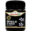 MANUKA HEALTH NEW ZEALAND MIELE DI MANUKA MGO550+ 250G