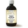 DR.GIORGINI SER-VIS Ribes Nigrum (Ribes Nero) Gemmo10+ 500ml Giorgini