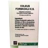 OTI COLEUS FORSKOHLII ES 30CPS