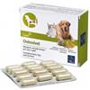 CAMON DETOXIVET 60CPR
