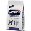 AFFINITY PETCARE ITALIA Srl ADVANCE D DOG ARTICULAR 12KG