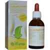 FITOSYSTEM SYSTEM INTESTINUM Gtt 50ml
