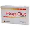 AVICENNA NATURAL INSTITUTE Flog Out 20 Capsule