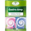 RENACO ITALIA Gastro Amp 30 Capsule