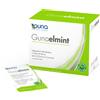 Gunaelmint 30 Bustine 4,2g