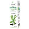 CAIRA LABORATORIO ERB. SA. BARDANAMENTIS Macerato 50ml