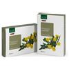 NATURA SERVICE TARASSACO 20AB 15ML