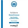 MOLECO LABORATOIRES Faiderm Base Grassa 1000 Ml