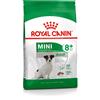 ROYAL CANIN ITALIA SHN MINI ADULT 8+ 2KG