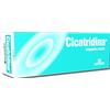 FARMA-DERMA CICATRIDINA Ung.Nasale 15g
