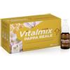 MONTEFARMACO Vitalmix Pappa Reale Integratore Alimentare Senza Glutine E Lattosio - 10 Flaconcini