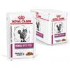 ROYAL CANIN ITALIA VHN WET CAT RENAL FISH 12X85G