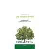 ERBA VITA FINOCCHIO SEMI 1KG