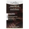 ZETA FARMACEUTICI Euphidra Color - Pro XD 550 Mogano