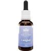 BUSH BIOTHERAPIES Caregiver 30 Ml