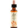 SCHWABE PHARMA ITALIA Aspen Bach Original 20ml
