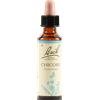 SCHWABE PHARMA ITALIA Chicory Bach 08 Original 20ml