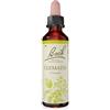 SCHWABE PHARMA ITALIA Bach 9 Clematis Gocce 20ml