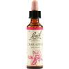 SCHWABE PHARMA ITALIA Bach 10 Crab Apple Gocce 10ml