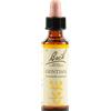 SCHWABE PHARMA ITALIA Gentian Bach Original 20 Ml
