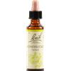 SCHWABE PHARMA ITALIA Honeysuckle Bach Original 20 Ml