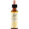 SCHWABE PHARMA ITALIA Hornbeam Bach Original 20ml
