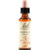 SCHWABE PHARMA ITALIA Bach 20 Mimulus Gocce 20ml