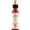 SCHWABE PHARMA ITALIA Oak Bach Original 20 Ml