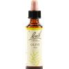 SCHWABE PHARMA ITALIA Olive Bach Original 20 Ml