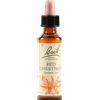 SCHWABE PHARMA ITALIA Bach 25 RedChestnut 20ml