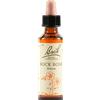SCHWABE PHARMA ITALIA Rock Rose Bach Original 20 Ml
