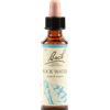 SCHWABE PHARMA ITALIA Bach 27 Rock Water Gocce 20ml