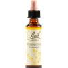 SCHWABE PHARMA ITALIA Sclerantus Bach Original 20 Ml