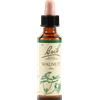SCHWABE PHARMA ITALIA Walnut Bach Orig 20 Ml
