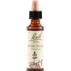 SCHWABE PHARMA ITALIA Water Violet Bach Original 20 Ml