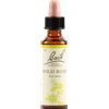 SCHWABE PHARMA ITALIA Wild Rose Bach Original 20 Ml