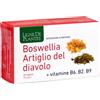 NATURA SERVICE BOSWELLIA ARTIGLIO DIAVOL 60CP