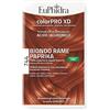 ZETA FARMACEUTICI Euphidra Colorpro Gel Colorante Capelli Xd 744 Paprika 50 Ml In Flacone + Attivante + Balsamo + Guanti