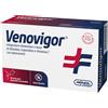 AMNOL VENOVIGOR 20 Bust.2,5g