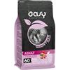 WONDERFOOD SpA OASY DRY CAT AD MAIALE300G 8PZ