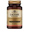 SOLGAR LACTASE MASTICABILE 30TAV