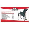 CAMON NAPPY DOG S PANNOLONI TG5
