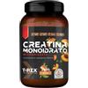 MYLAB NUTRITION Srl T-Rex Creatina Monoidrato Thè Alla Pesca Da 250g