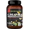 MYLAB NUTRITION Srl T-Rex Creatina Monoidrato Gusto Tropical Da 250g